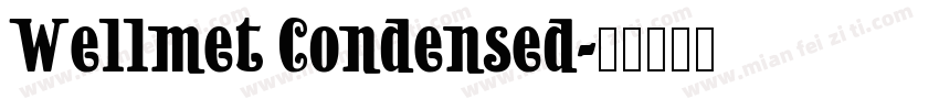 Wellmet Condensed字体转换